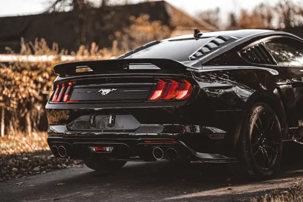 PlaySunny Kasino Apl Android/iOS